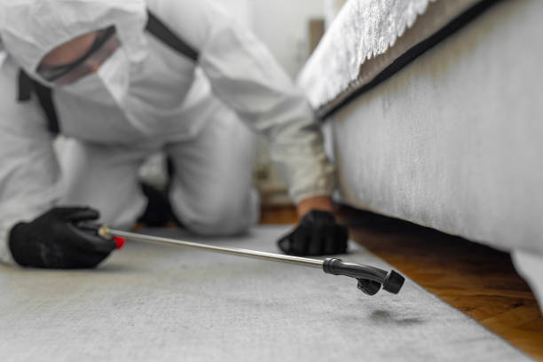 Professional Bed Bug Control technician working in Rosewood Heights, IL
