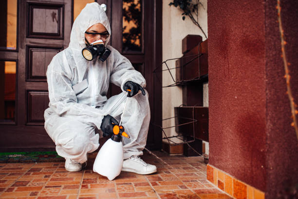 Reliable Bed Bug Control contractor in Rosewood Heights, IL by Nex Pest Control